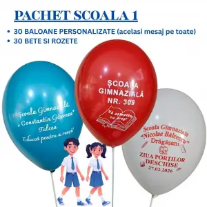 Pachet Scoala 30 baloane personalizate + 30 Bete plastic 202530